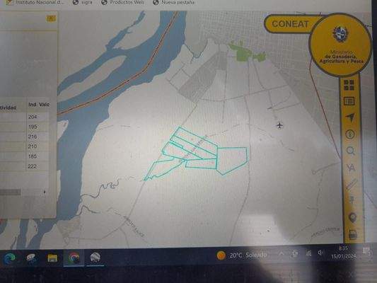 4 Campo San Felix Paysandu Uruguay.jpg