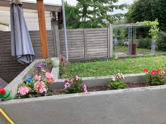 Blicke in den Garten ...