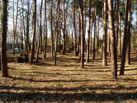 Zossen Grundstücke, Zossen Grundstück kaufen