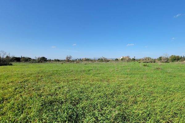 Blick bis zum Tramuntana Gebirge