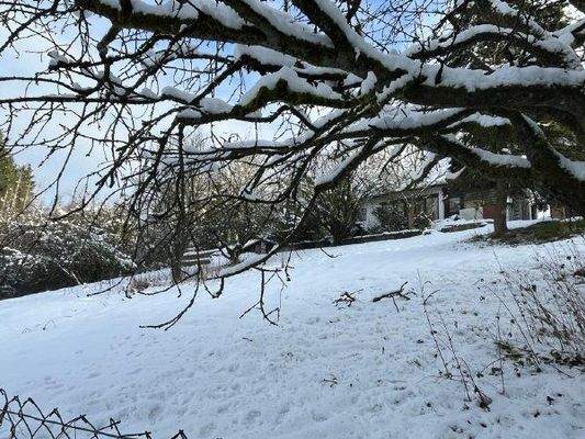 Grundstück hinten Hanglage