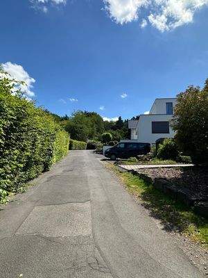 Strasse mit Blick in den Wald