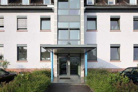 Aschaffenburg Halle, Aschaffenburg Hallenfläche