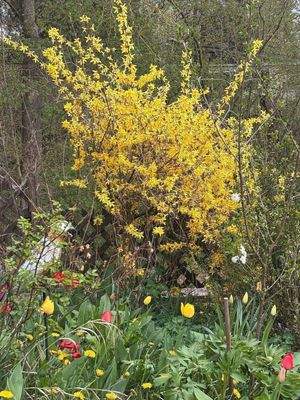 PHOTO-2025-04-15-18-20-55-9DA2C135-4C13-4B06-91A4-