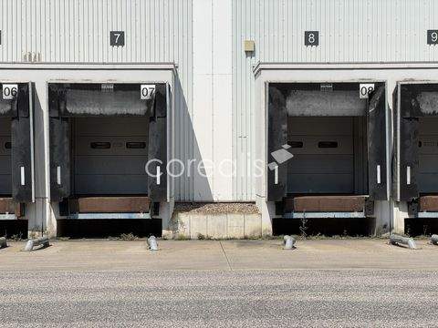 Köln Halle, Köln Hallenfläche