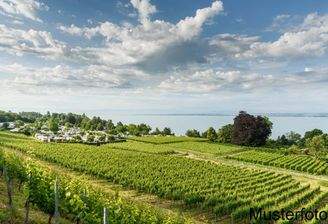 Campingplatz Schloßkirch Immenstaad am Bodensee