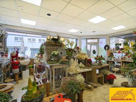 Sundern Ladenlokale, Ladenflächen 