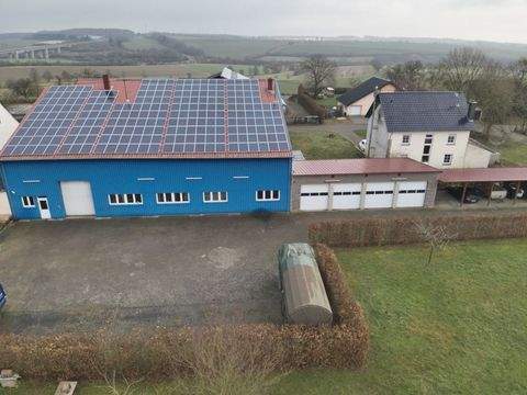 Gelsdorf Halle, Gelsdorf Hallenfläche