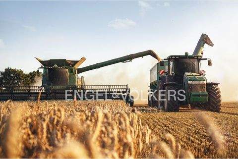 Magdeburg Bauernhöfe, Landwirtschaft, Magdeburg Forstwirtschaft