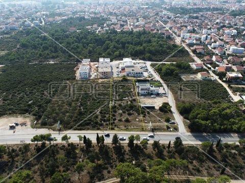 Zadar center Bauernhöfe, Landwirtschaft, Zadar center Forstwirtschaft