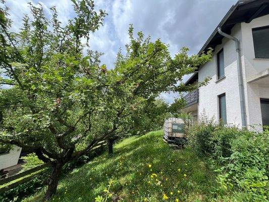 Grundstück vorm Haus