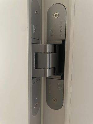 Innenliegende Türbänder