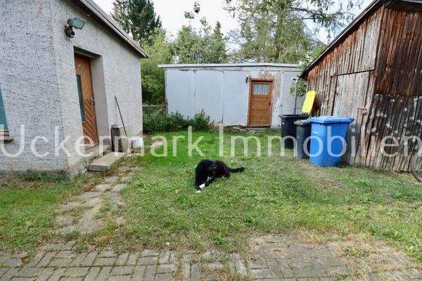 Nebengebäude mit Hund