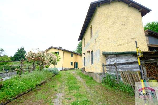 Rif 1323(Copy67).jpg