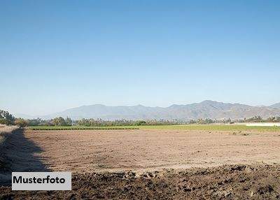 Muthmannsdorf, angrenzend an Dreistetten Halle, Muthmannsdorf, angrenzend an Dreistetten Hallenfläche