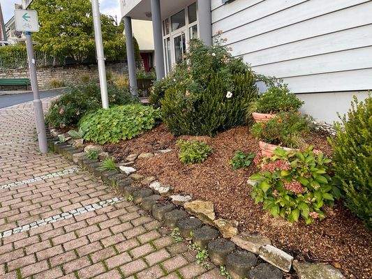 MicrosoftTeams-image (25)