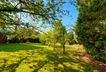 Garten.3