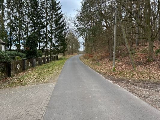 Grenzstr. Richtung Osten (Polen)