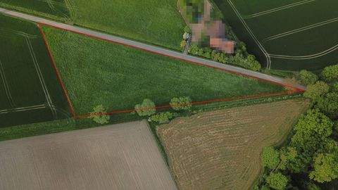 Stadthagen Bauernhöfe, Landwirtschaft, Stadthagen Forstwirtschaft