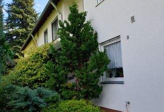 Vorgarten Eingangsbereich  