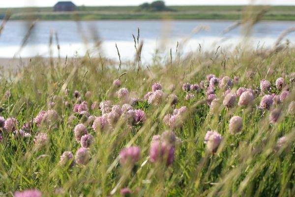 Ihr Herzstück. Impressionen Umgebung 2.