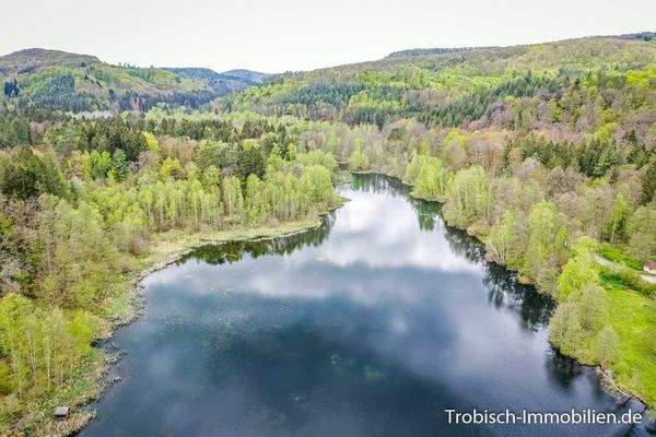 Schöntalweiher-Umgebung