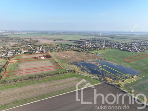 Markranstädt / Kulkwitz Bauernhöfe, Landwirtschaft, Markranstädt / Kulkwitz Forstwirtschaft