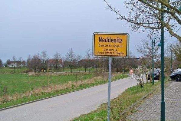 neddesitz01.JPG