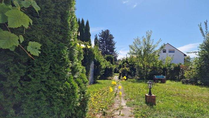 Weitläufiges Grundstück