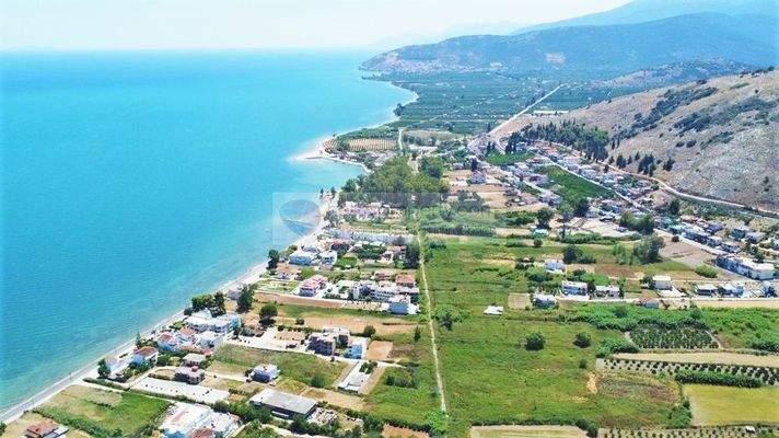 b09651ed9f714ae69b21d9c8f0d03583-original