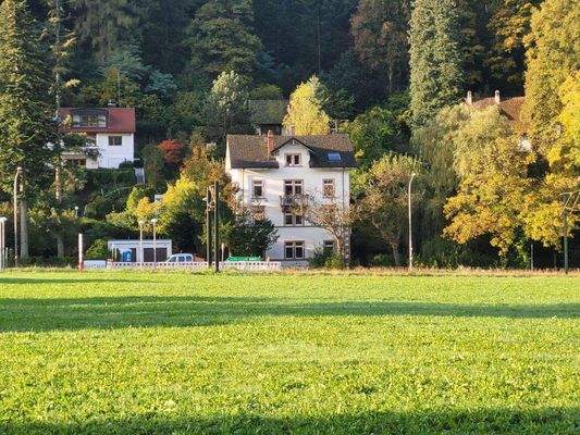 Blick nach Süd2.jpg