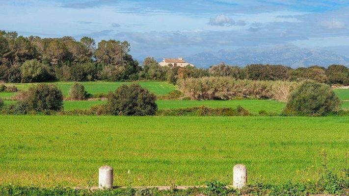 Rustikales Grundstück zum Verkauf in Muro, Mallorca