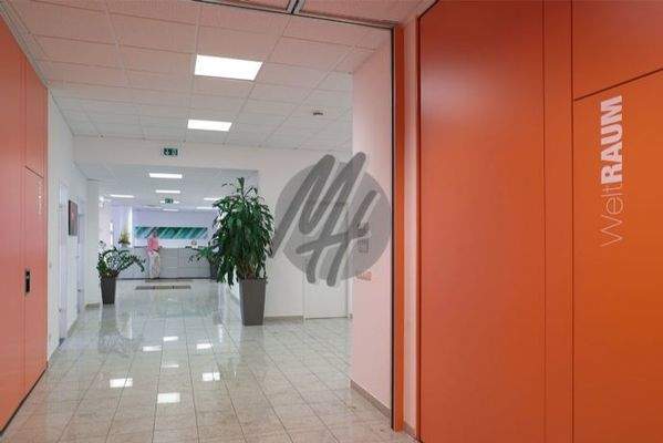 INFOS UNTER: 06171-586000