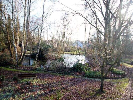 Parkanlage mit Teich