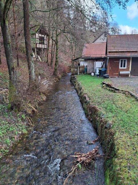 Schleusegrund Häuser, Schleusegrund Haus kaufen