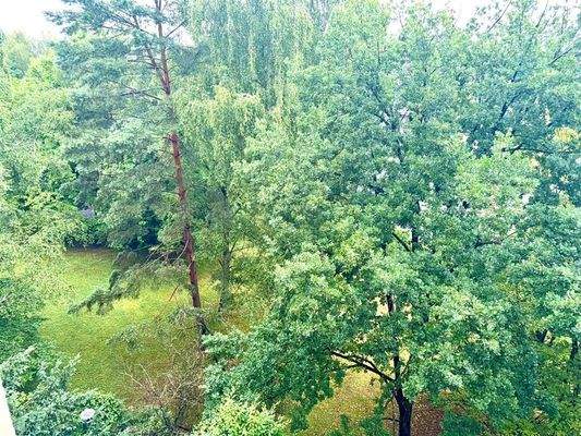 Blick aus ihrer Wohnung