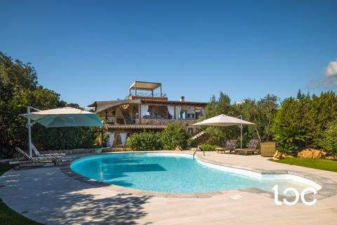 Cala Ginepro Häuser, Cala Ginepro Haus kaufen