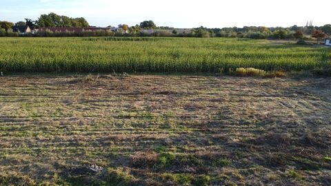 Emsdetten Grundstücke, Emsdetten Grundstück kaufen