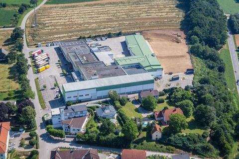 Aschbach-Dorf Halle, Aschbach-Dorf Hallenfläche