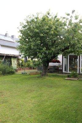 Garten mit Kirschbaum.JPG