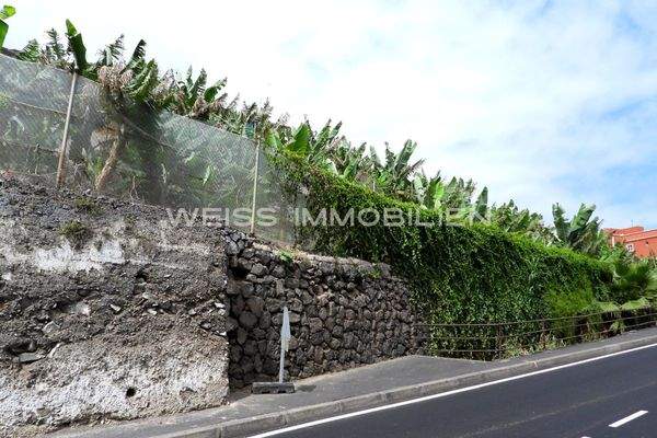 Lage erhöht zur Straße