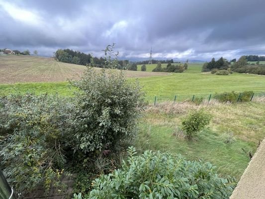 Ausblick Garten