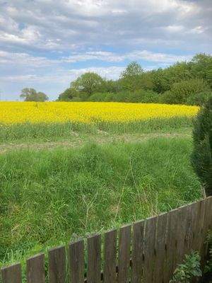 Blick Terrasse Küche (Haupthaus)