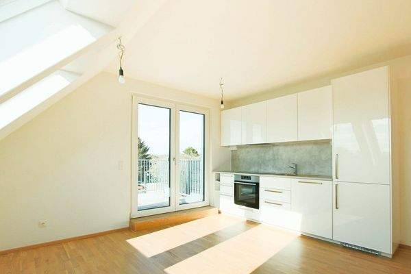 Wohnbereich / offene Küche