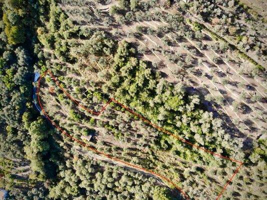 DA1003_16_TERRA ITALIA IMMOBILIEN_REAL ESTATE_LAND