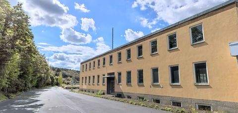 Schirnding Halle, Schirnding Hallenfläche