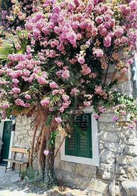 Historisches Charisma im Herzen von Split