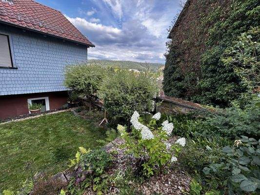 Kleiner aber Feiner Garten