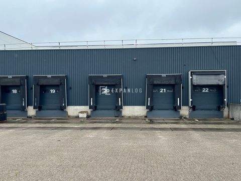 Witten Halle, Witten Hallenfläche