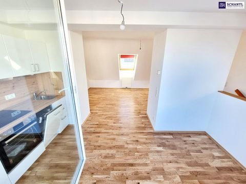 Wien Wohnungen, Wien Wohnung kaufen